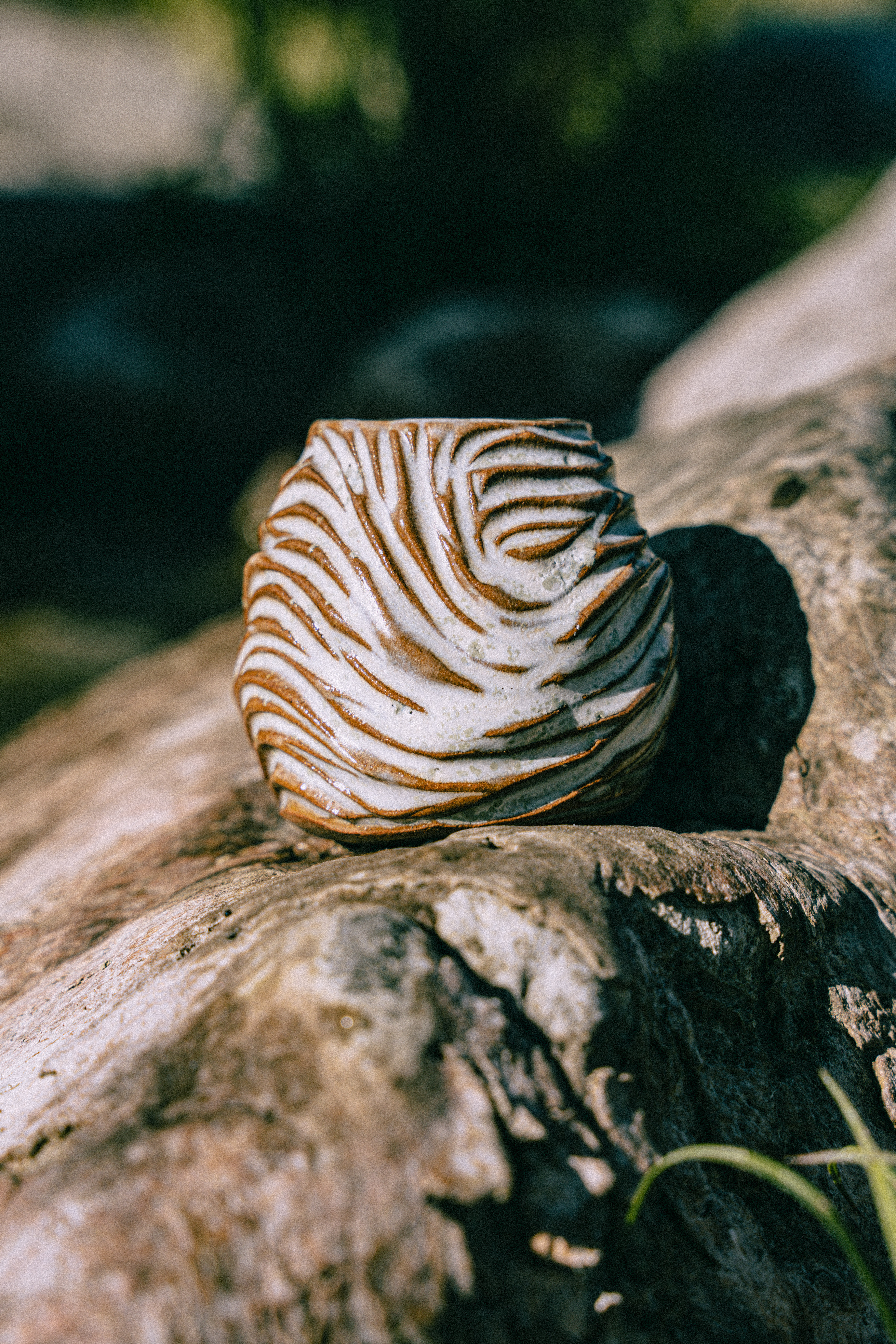 Nature-Inspired Form